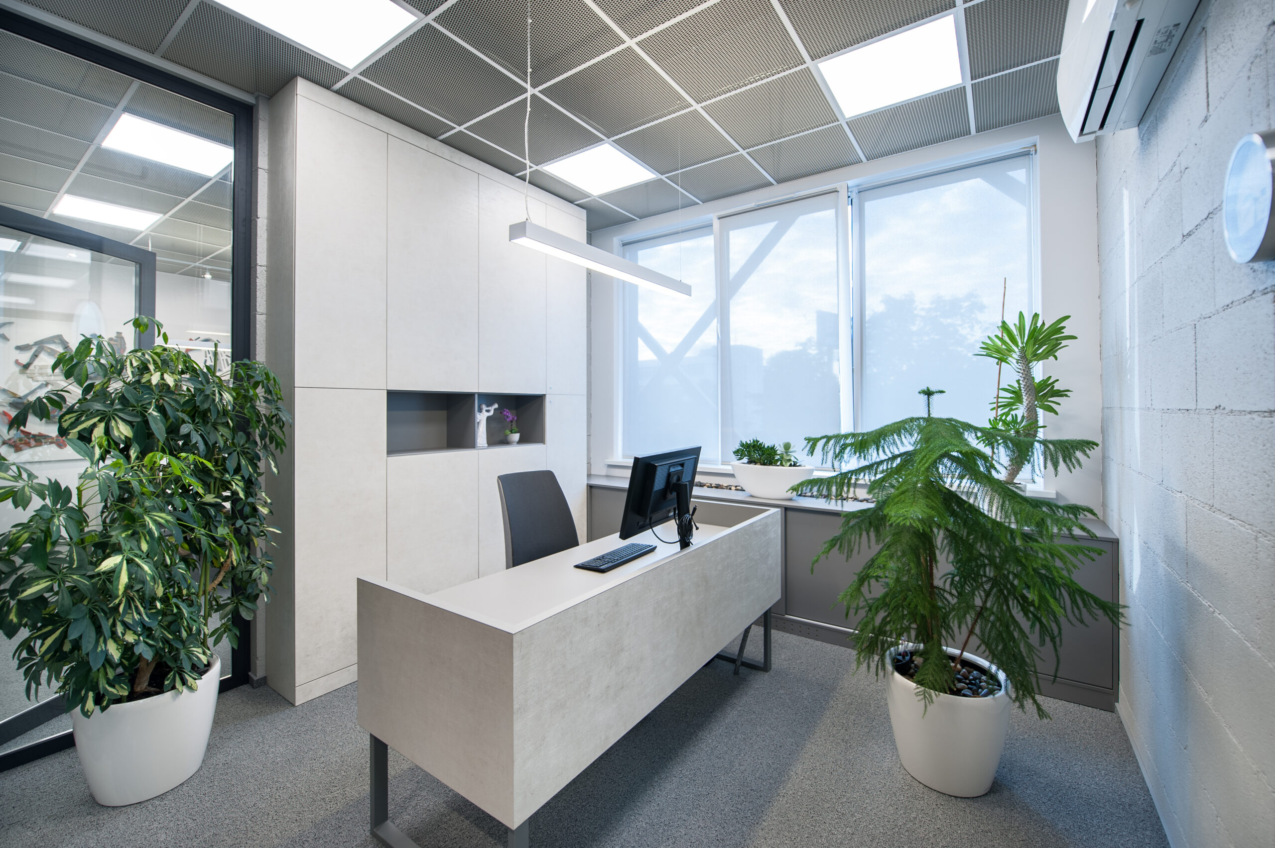 Office Room With Plants