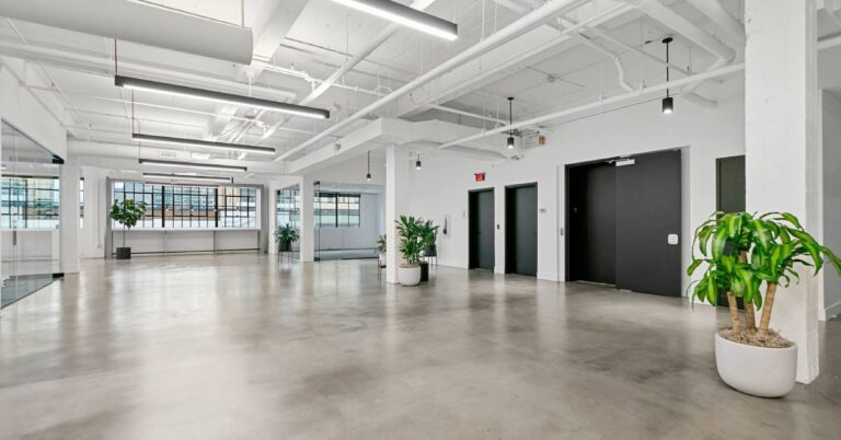 Several green plants sit in a vacant, well-lit office space with polished concrete floors and white walls.